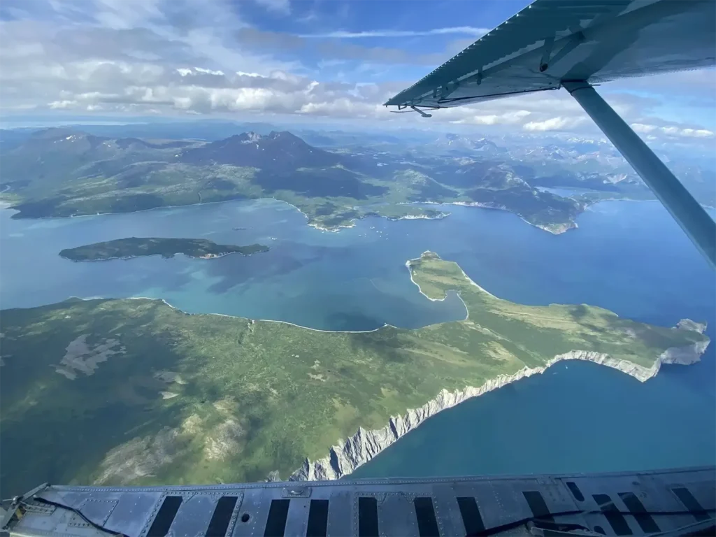 Beluga Air Homepage Gallery (4)