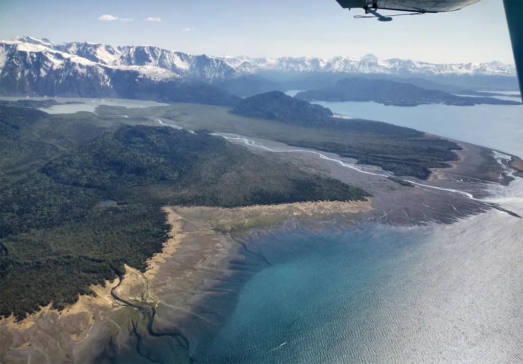 Beluga Air Homepage Gallery (5)