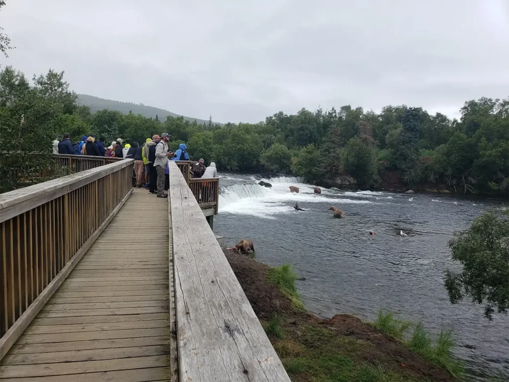 beluga-air-brooks-falls-bear-fishing-02.webp