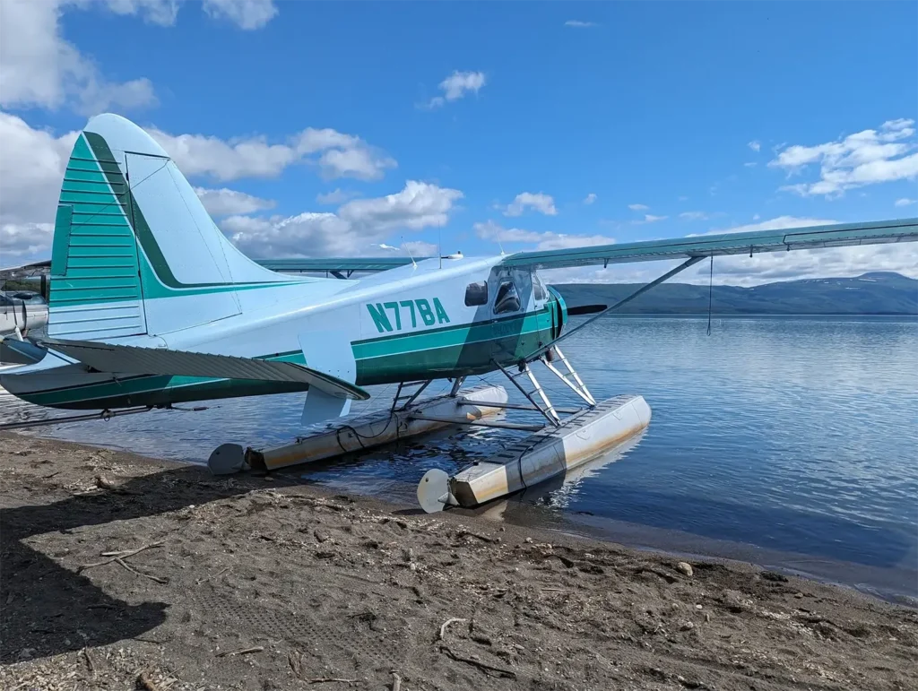 beluga-air-brooks-falls-bear-viewing-23.webp