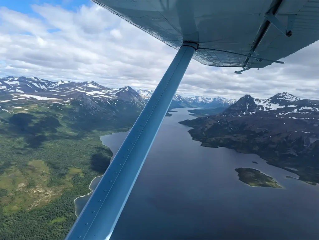 beluga-air-brooks-falls-bear-viewing-39.webp