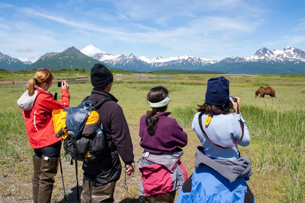 beluga-air-june-katmai-bear-viewing-16