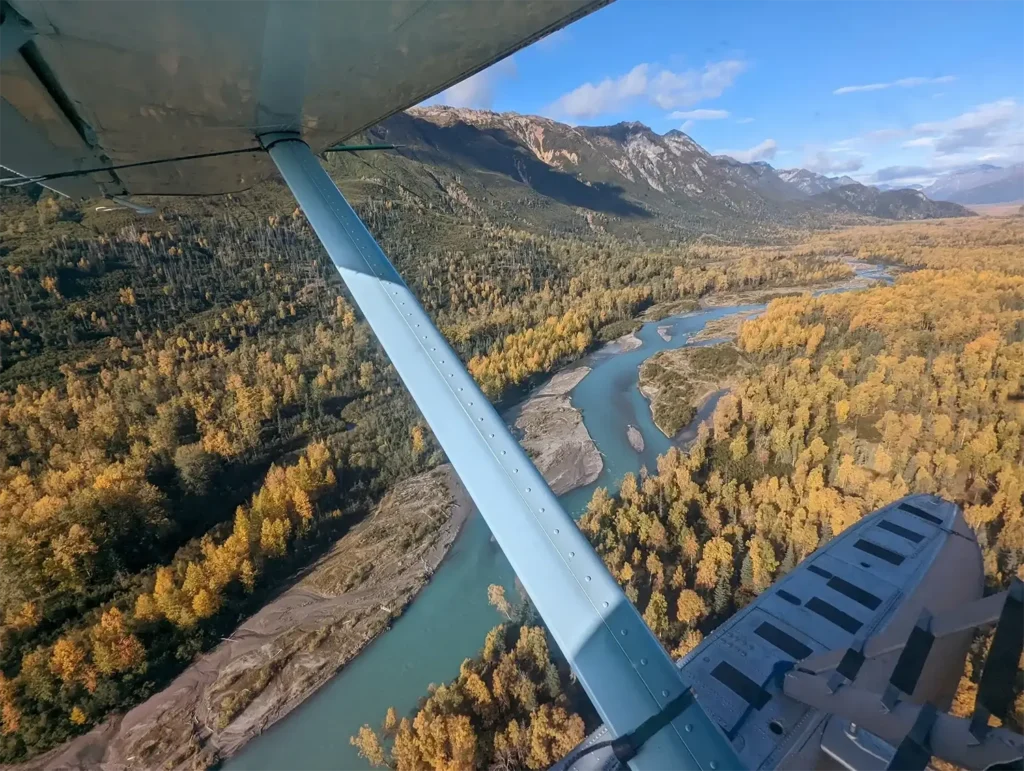 beluga-air-lake-clark-luxury-guided-bear-viewing-05