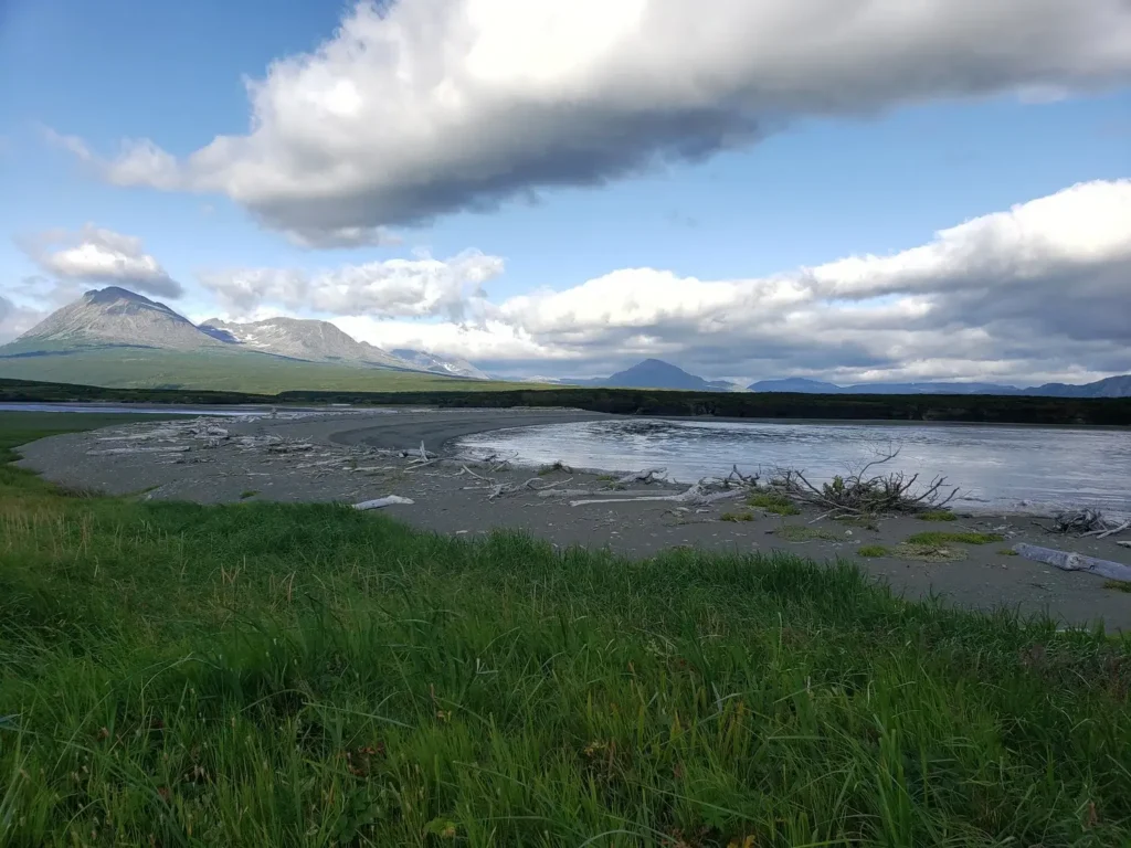 beluga-air-mcneil-river-bear-viewing-10