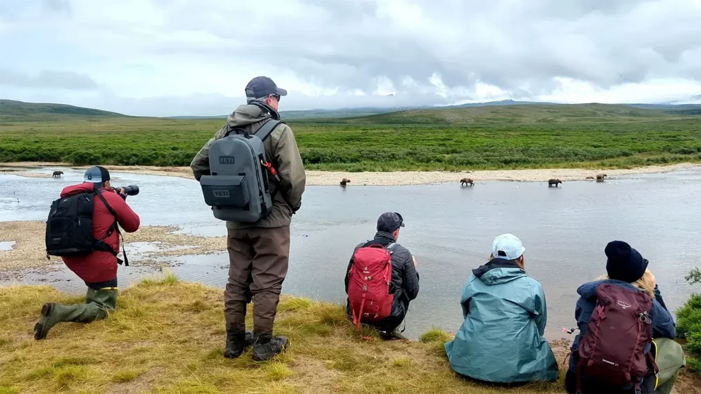 beluga-air-moraine-creek-guided-hike-bear-viewing-03.webp