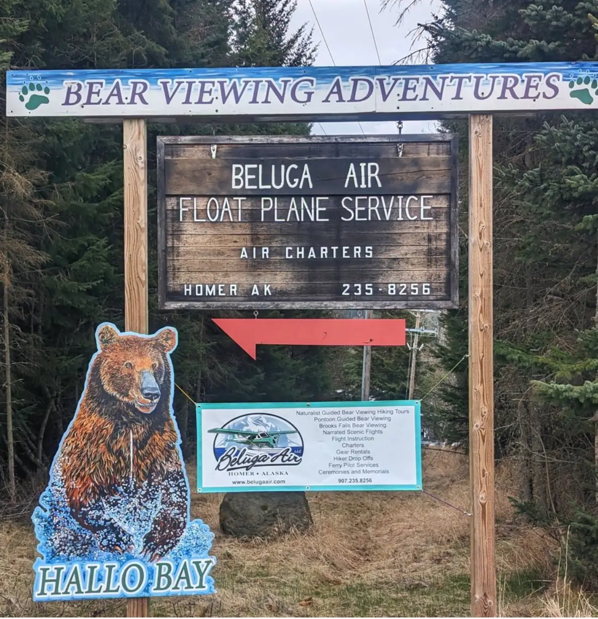 Sign for bear viewing adventures service