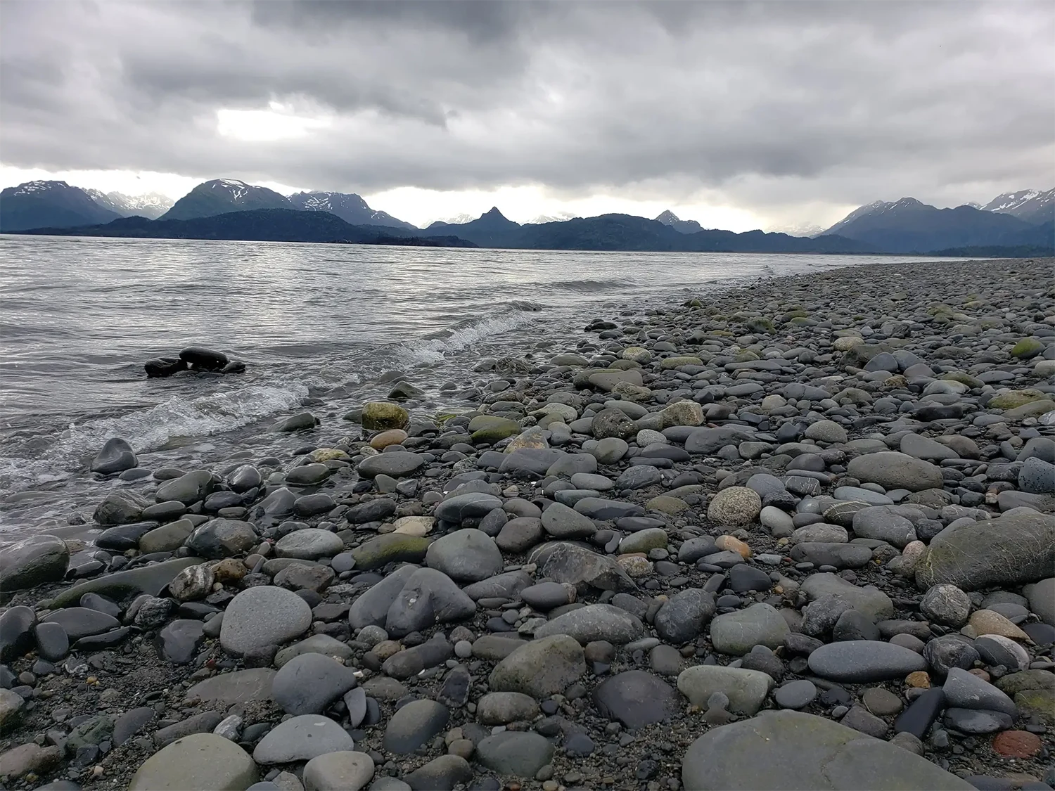 beluga-air-homer-alaska-flightseeing-fishing-adventure-02