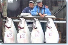 beluga-air-homer-alaska-flightseeing-fishing-adventure-42