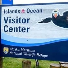 beluga-air-homer-alaska-flightseeing-fishing-adventure-88