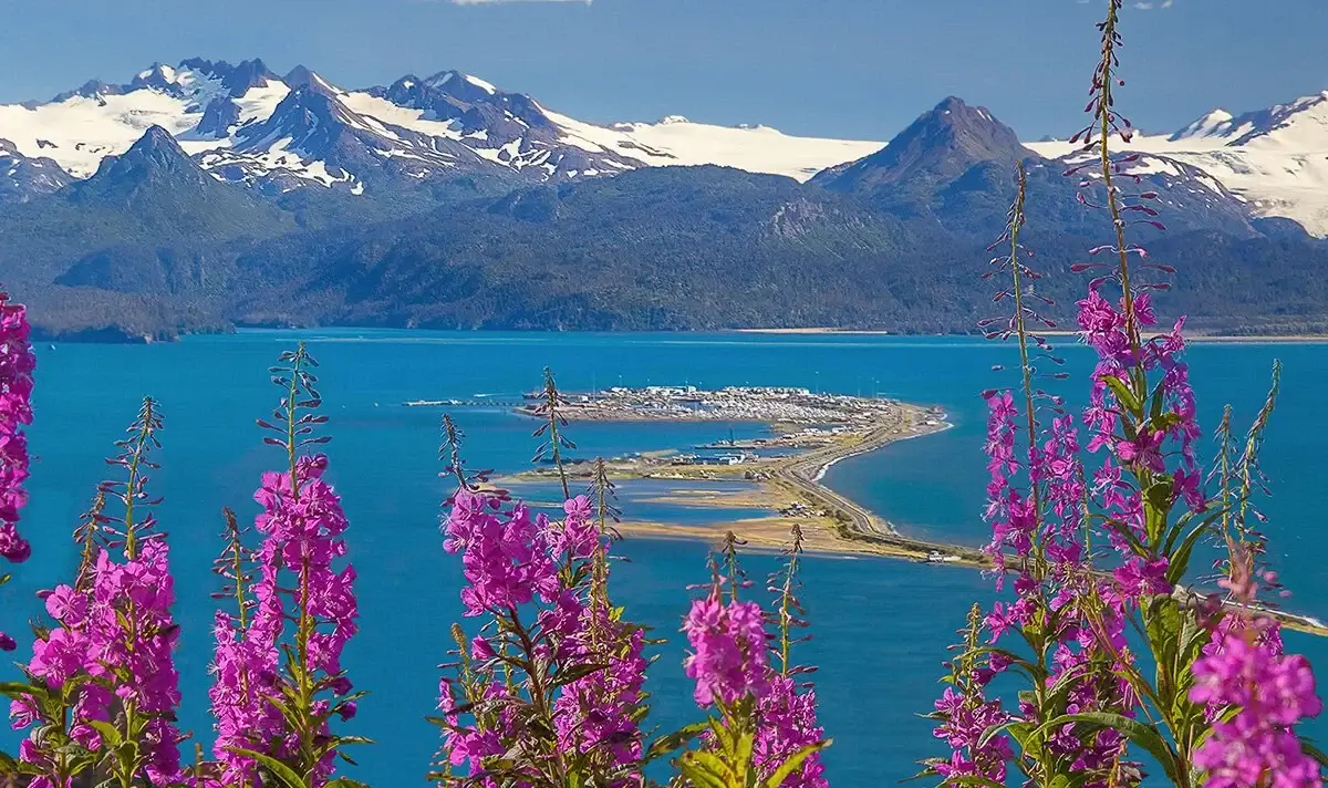 beluga-air-homer-alaska-flightseeing-fishing-adventure-94